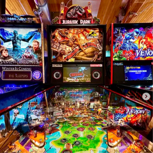 Jurassic Park 30th Anniversary Pinball Topper 3D Acrylic LED Topper, For Stern Pinball Machine, Pinball Topper FYLZGO Signs