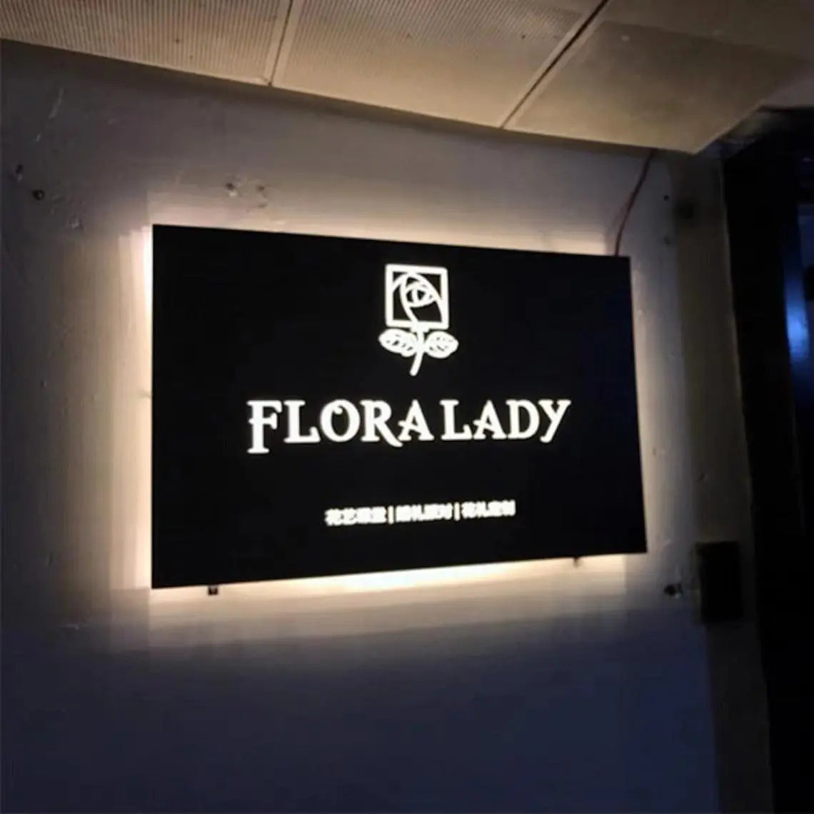 Backlit Box Sign Led Illuminated Outdoor Signage Board FYLZGO Signs