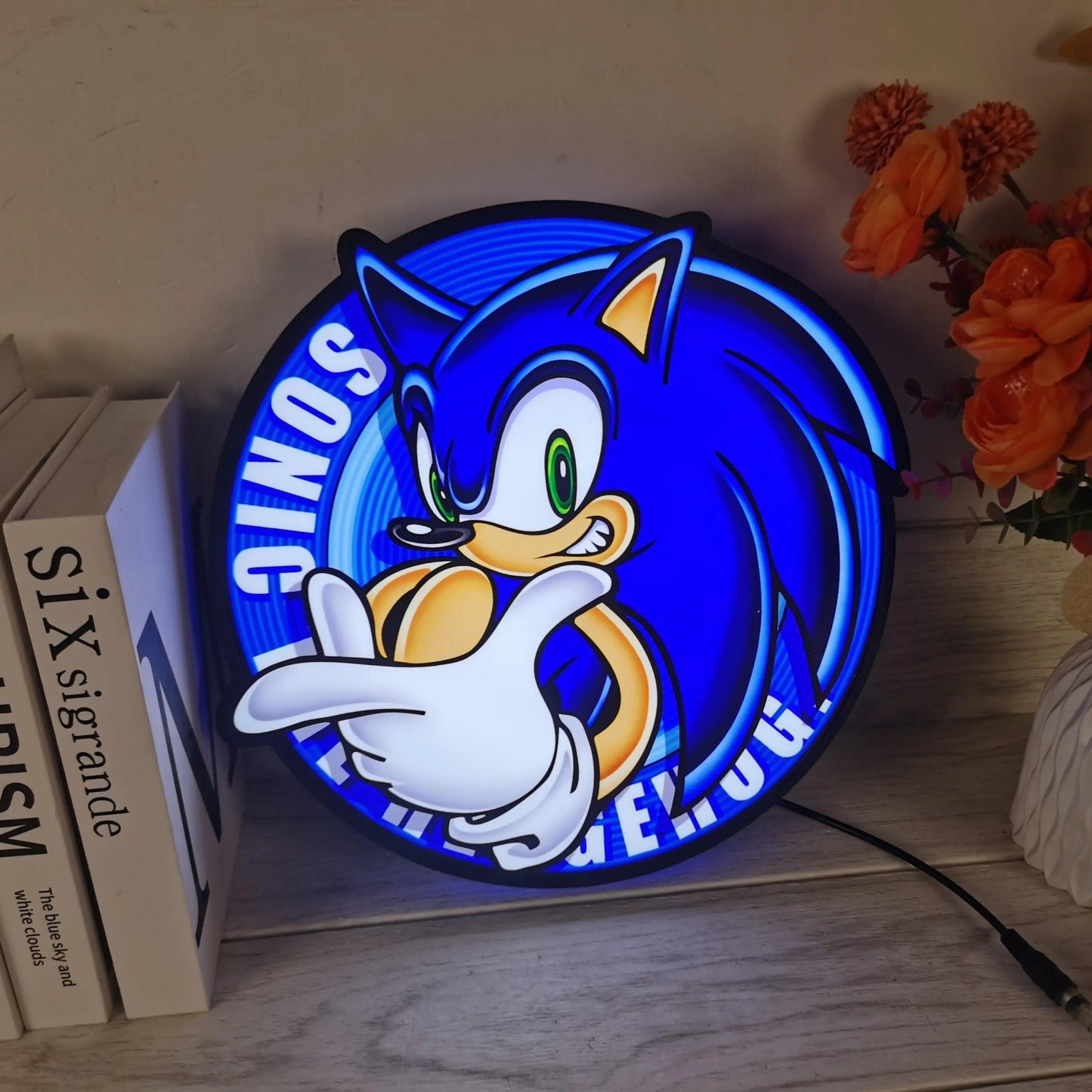 Sonic the Hedgehog SEGA Logo 3D LED Light Box FYLZGO Signs