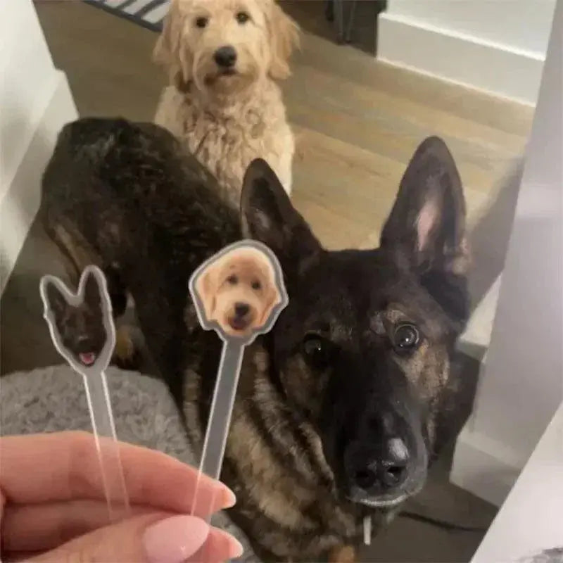 Personalized Wedding Drink Stirrers Print YOUR Dog Cat Dog Drink Stirrer for Wedding FYLZGO Signs